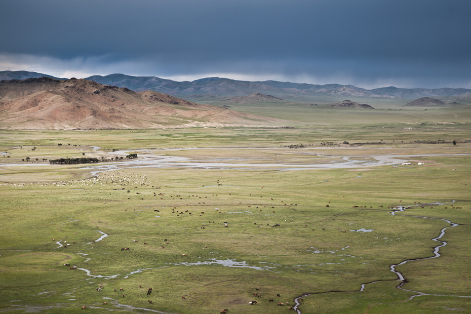 Steppe - Arkhangai, Mongolia