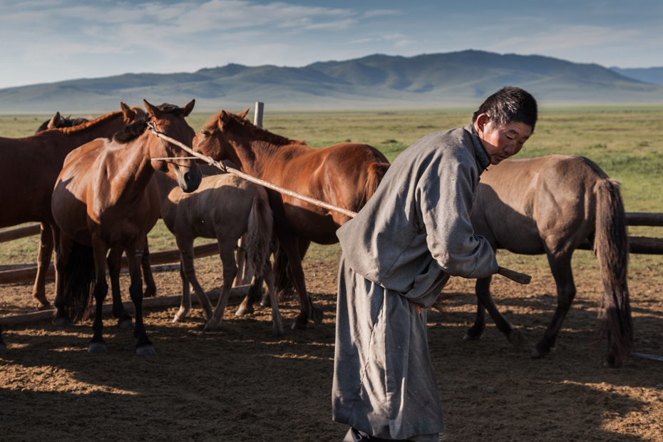 Mongol with her horse (Arkhangai, Mongolia)