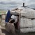 Woman cleans the yurt (Arkhangai, Mongolia) thumbnail